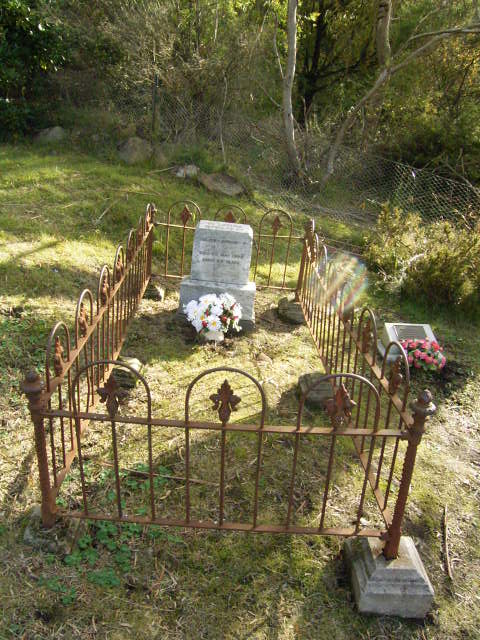 Full-size image