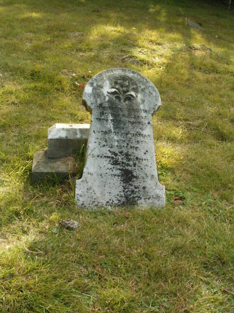 Full-size image
