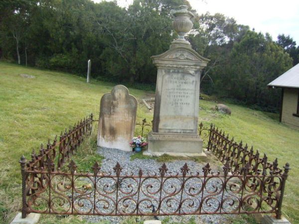 Full-size image