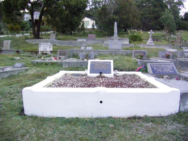 Full-size image