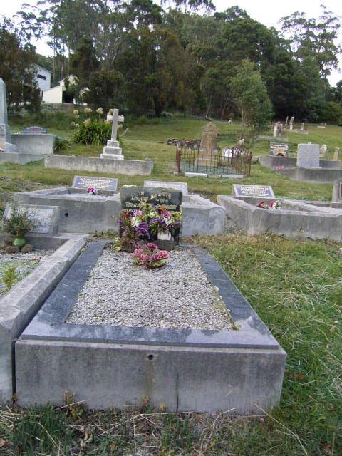 Full-size image