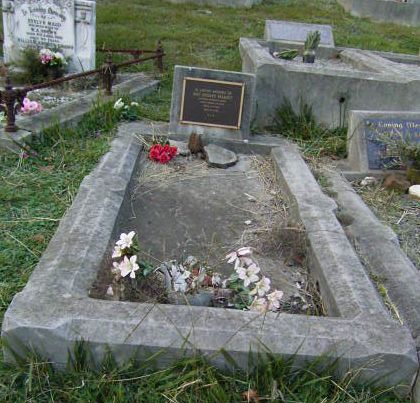 Full-size image