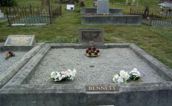 Full-size image