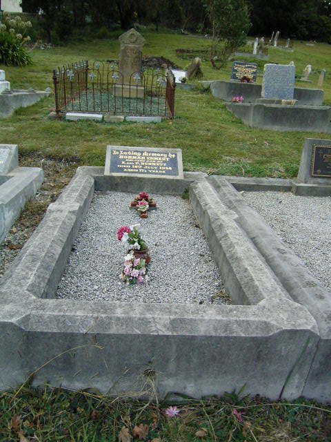 Full-size image