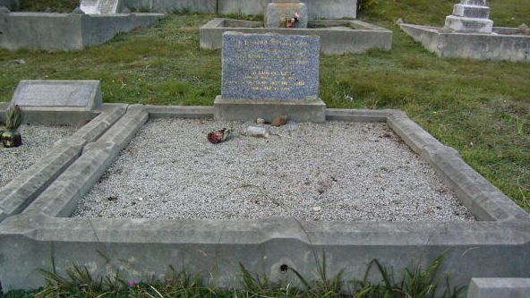 Full-size image