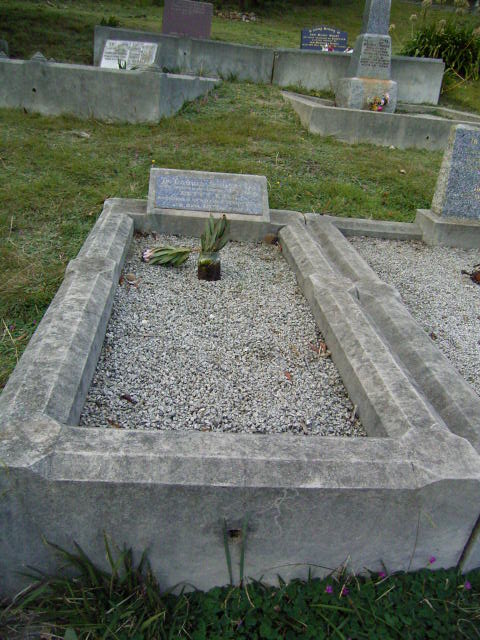 Full-size image