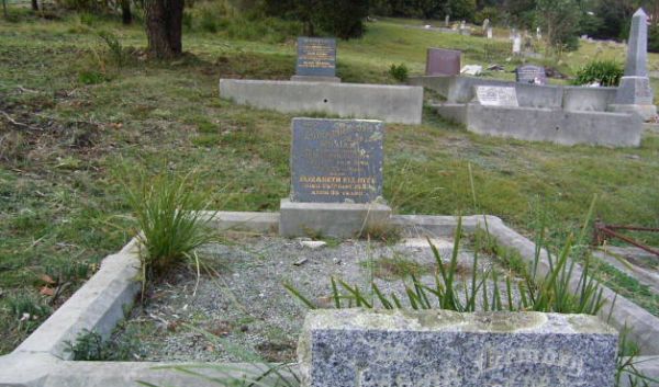 Full-size image