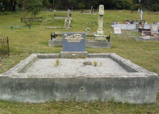 Full-size image