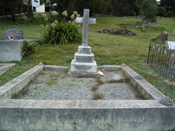Full-size image