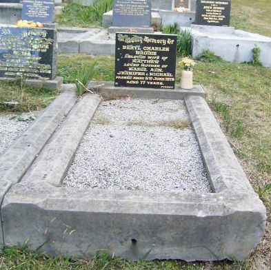 Full-size image