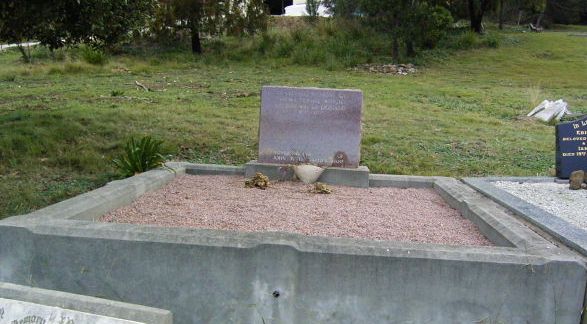 Full-size image