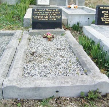 Full-size image
