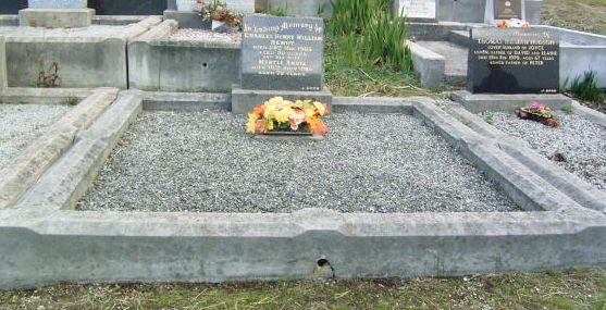 Full-size image