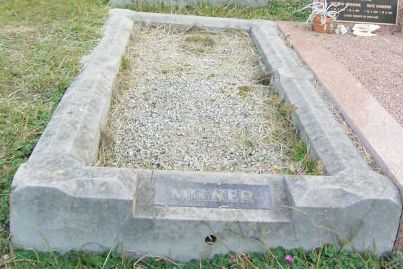 Full-size image
