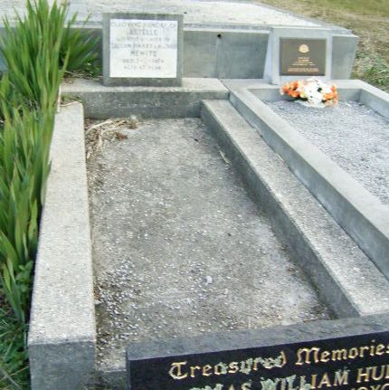 Full-size image