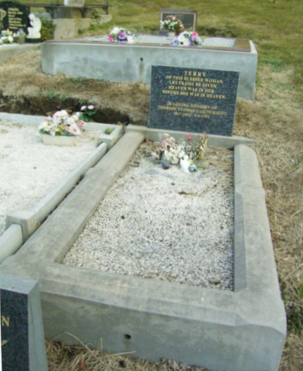 Full-size image