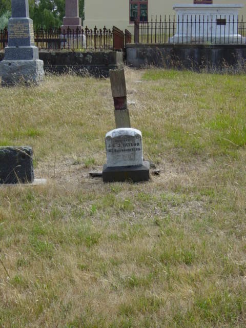 Full-size image