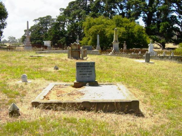 Full-size image