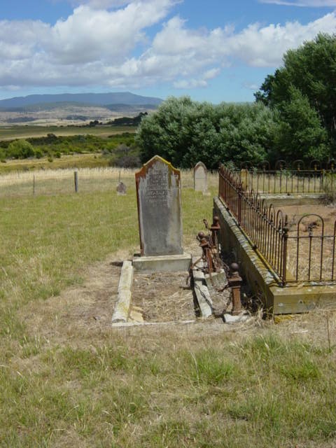 Full-size image