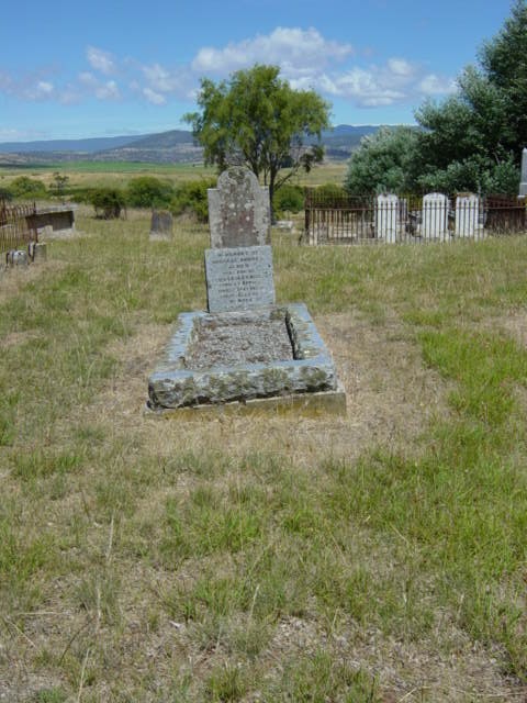 Full-size image