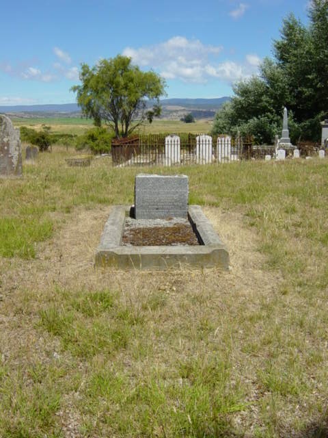 Full-size image