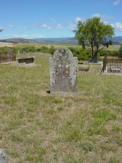 Full-size image