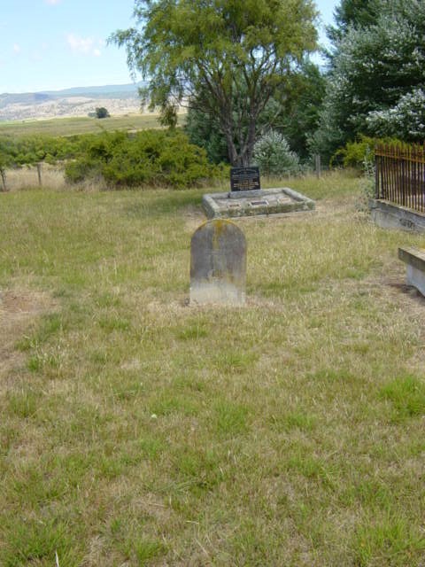 Full-size image