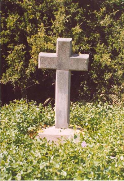 Full-size image