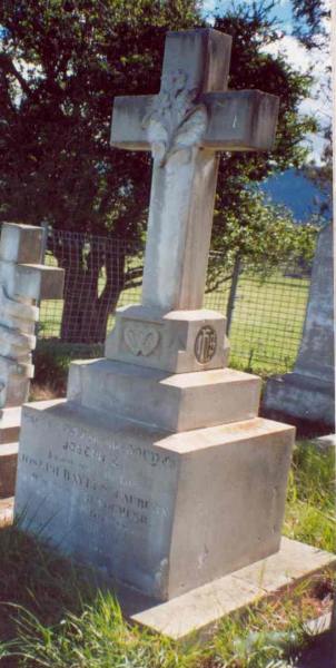 Full-size image