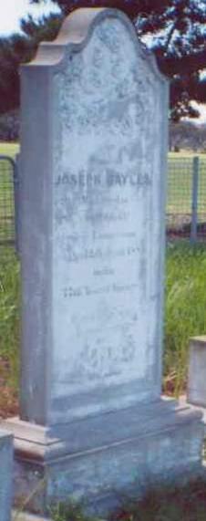 Full-size image