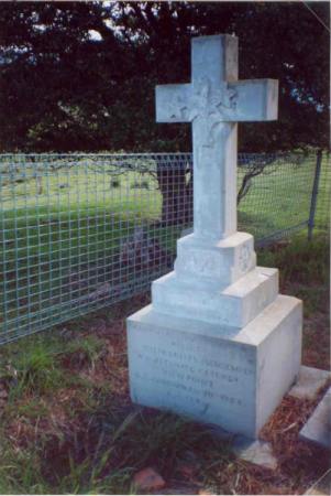 Full-size image