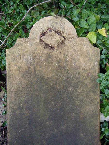 Full-size image