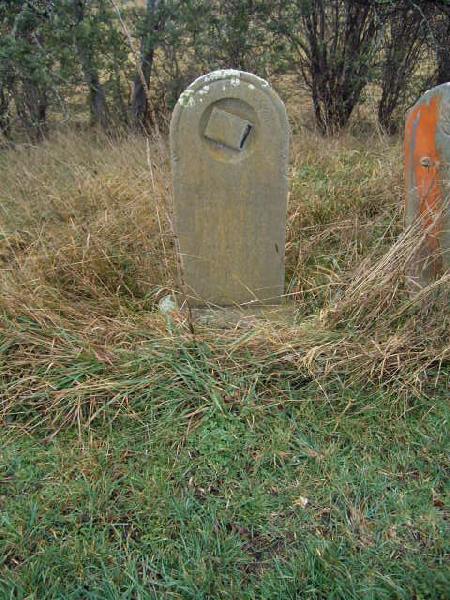 Full-size image