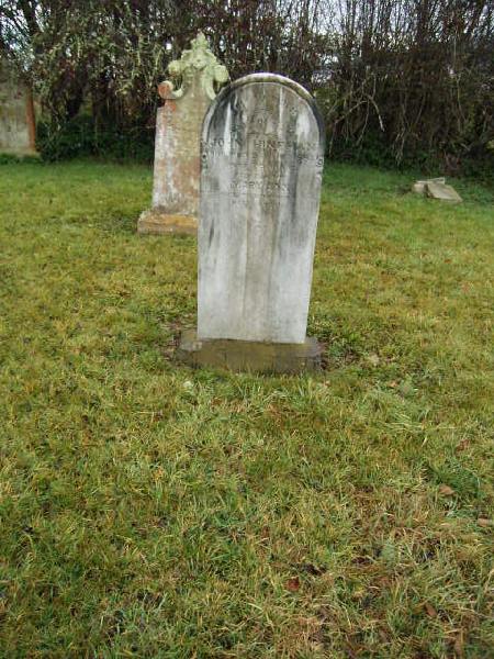 Full-size image