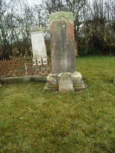 Full-size image