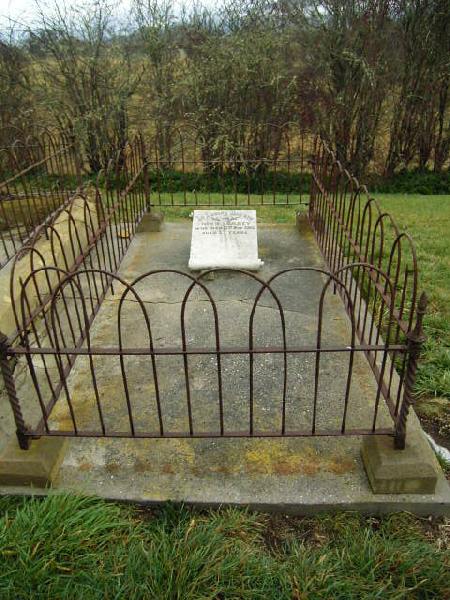 Full-size image