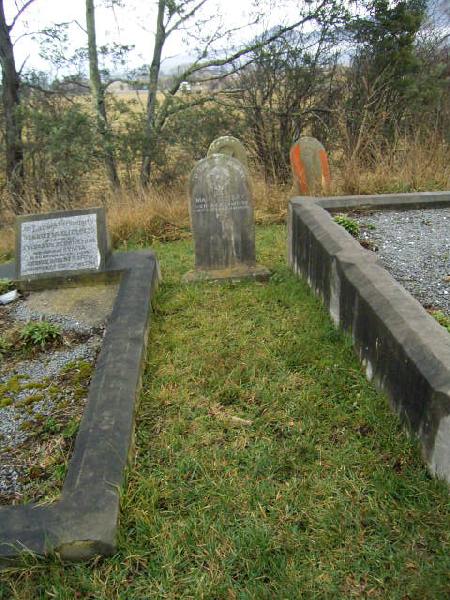 Full-size image
