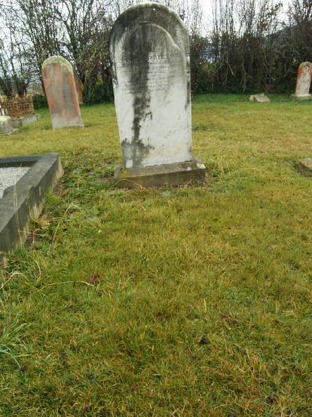 Full-size image