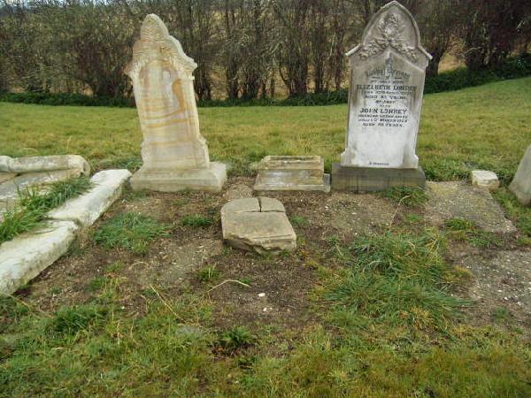 Full-size image