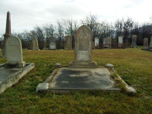 Full-size image