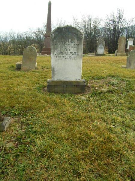 Full-size image