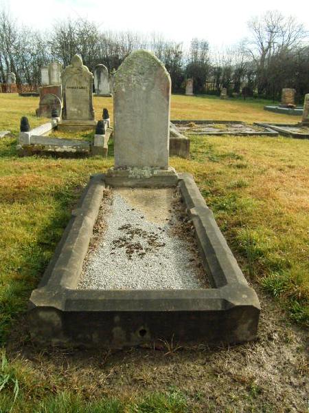 Full-size image