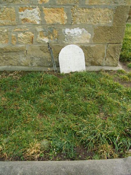 Full-size image