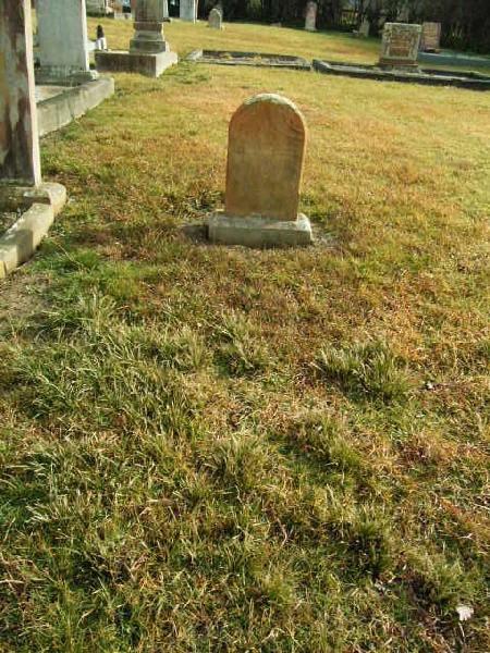 Full-size image