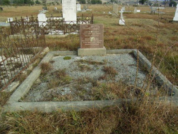 Full-size image