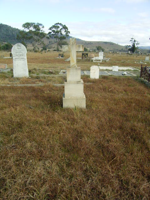 Full-size image
