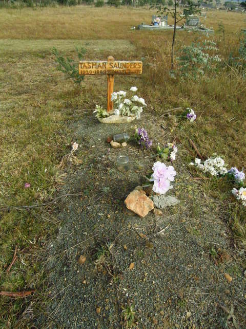 Full-size image