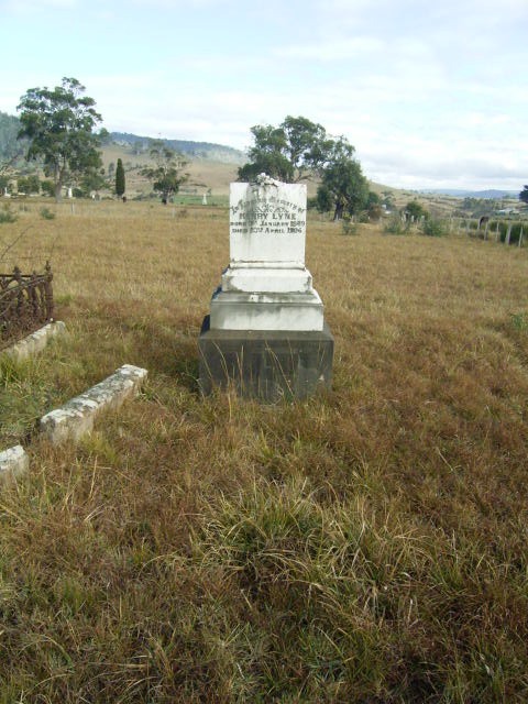 Full-size image