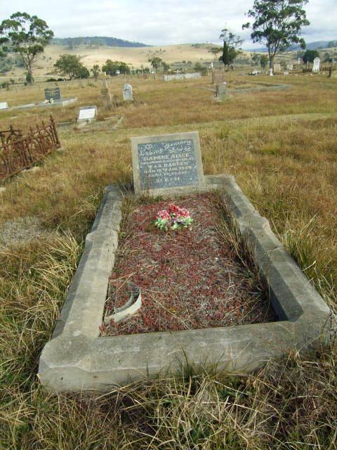 Full-size image
