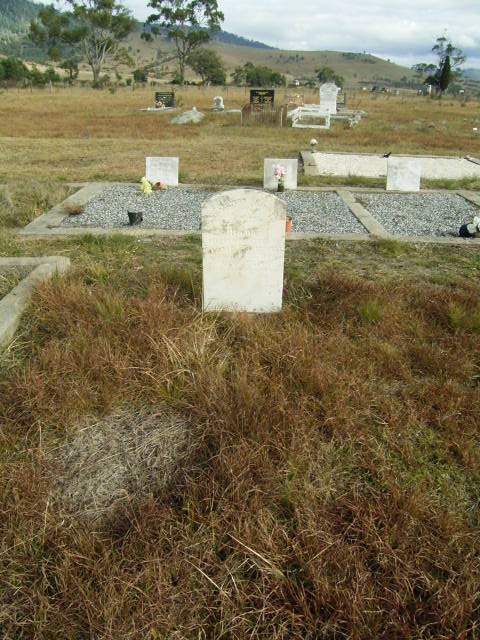 Full-size image